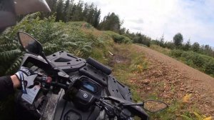 CFMOTO CFORCE 520eps Gen 2.  A lil bit stuck. Diff lock save!