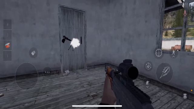 DayZ Mobile - DISARRAY