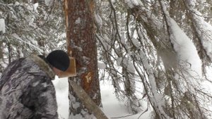 Отдых в Омской Тайге