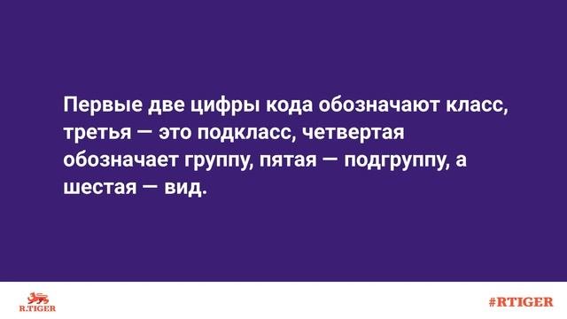 Что такое классификатор видов деятельности?