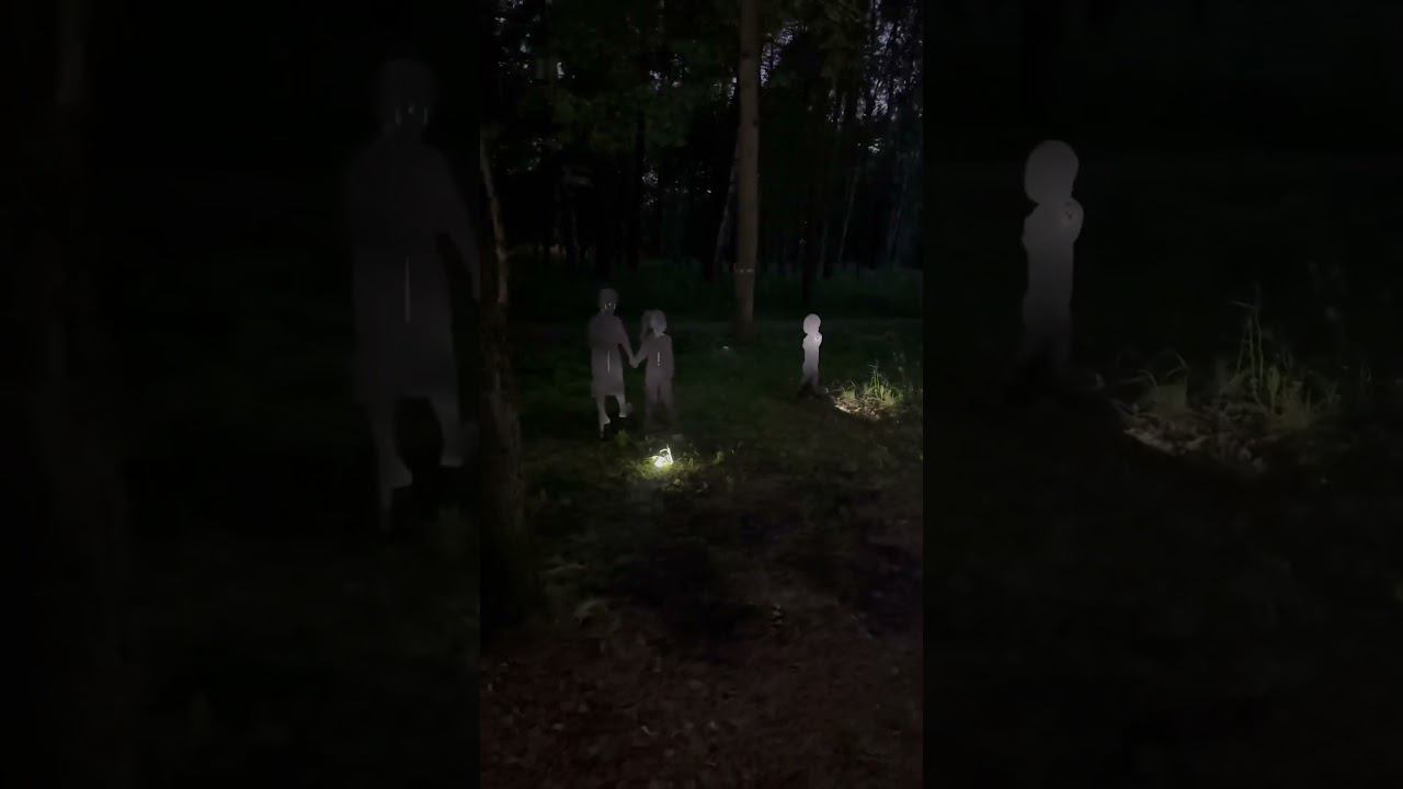 Памяти пропавших детей