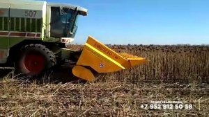 Жатка с измельчителем для уборки подсолнечника 8-ми рядковая