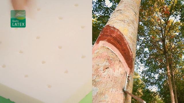 Детский матрас Plitex Bamboo Sleep. Обзор. смотреть онлайн