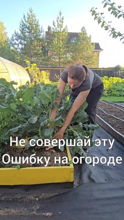 Не совершайте эту ошибку на огороде!