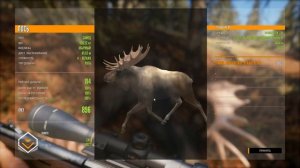 theHunter Call of the Wild ? - Трофейный Домик - Обзор DLC - Trailblazer Beta