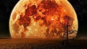 CARLOS SANTANA  FLOR DE LUNA