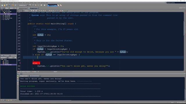 Fast Conditional Branching In Java Made Simple With If, Else If, and Else Statements | Java Part 3