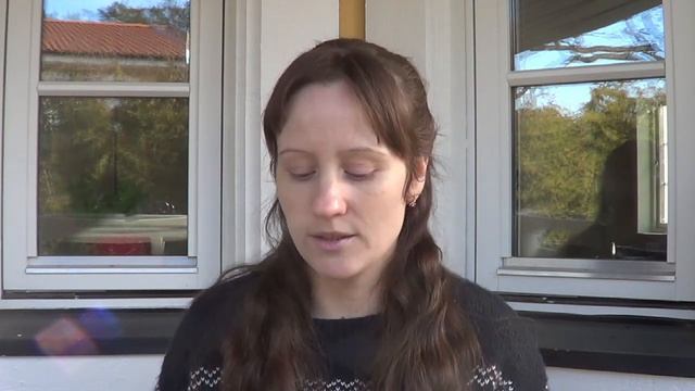 Продленка в шведской школе / Сколько стоит / Чем кормят / Что делают / Для кого