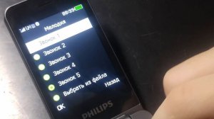 ПОДРОБНЫЙ ОБЗОР ТЕЛЕФОНА PHILIPS XENIUM E2602