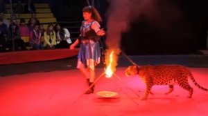 Советский цирк "Афиша"