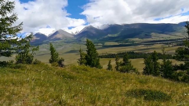 Горный Алтай. Красота Курайской степи