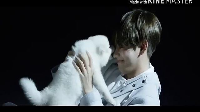 Vkook/ Taekook  /Клип "Твоя любовь это так красиво"/ смотреть онлайн