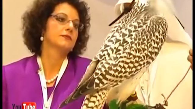 ОТЛОВ ПТИЦ смотреть онлайн