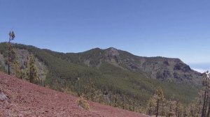 Arafo-Montaña de la Crucita TENERIFE/CANARY ISLAND