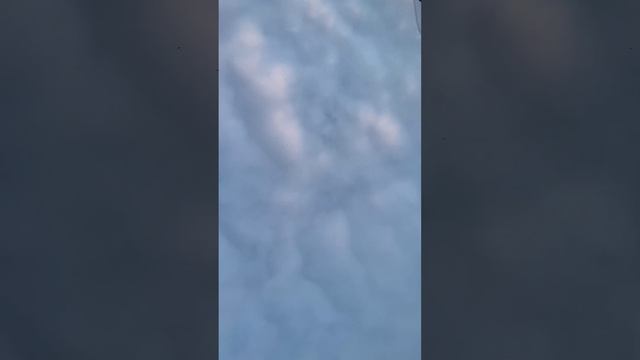 Ali Kali mantras and mantra of interdependence смотреть онлайн