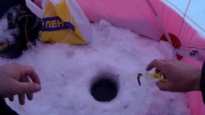 Клёв окуня и карася на озере Тенис. Рыбалка озеро Тенис, Усть-Логатка, Омская область, 2021