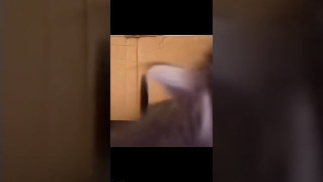 зввзазхаахвхахх смотреть онлайн