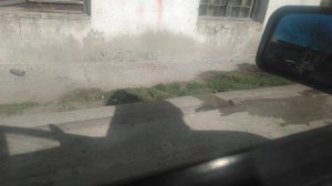 Не исправность датчика температуры за бортом ваз.