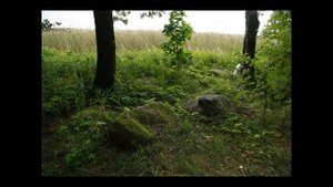 Усадьба Знаменка, Петергоф