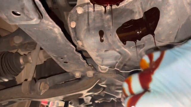 2006-2012 Toyota RAV4 V6 3.5L Engine Oil Change смотреть онлайн