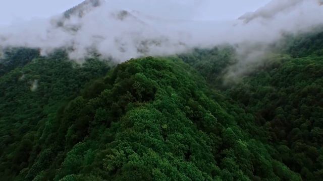 Свадьба в горах Сочи. Свадьба но море. Организатор свадеб в Сочи