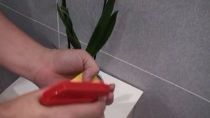 тест СПРЕЯ от НАСЕКОМЫХ ВРЕДИТЕЛЕЙ ОРХИДЕЙ 1 я часть