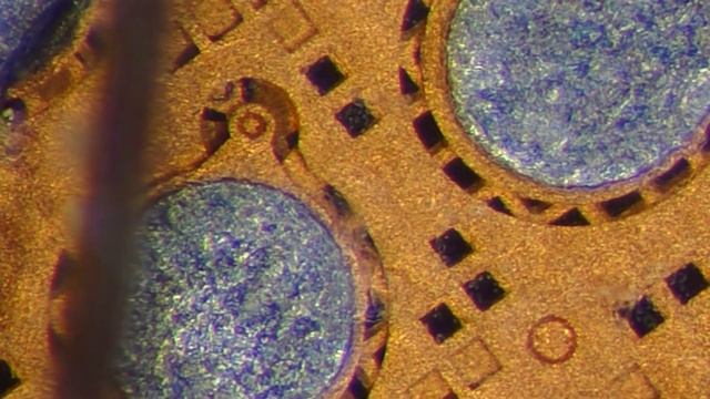 Looking at a hair and iPhone's A13 processor through the Nikon smz-800 + ed plan 2x 32mm microscope смотреть онлайн