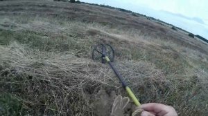 Неожиданные находки в земле