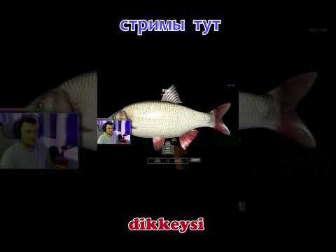 Трофейный Язь | Старый острог #рр4 #Shorts