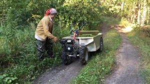 В лесу всё есть, и от запора и от поноса. Мотоблок Угра НМБ-1Н10 с прицепом.