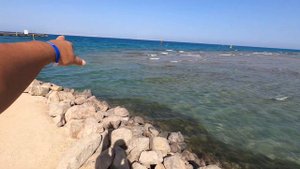 Desert Rose Resort 5* 2021г.!!! Совпадают отзывы туристов???