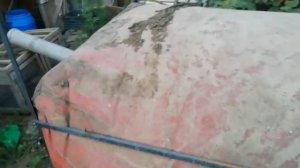 Биогазовая установка куринный помет часть 3