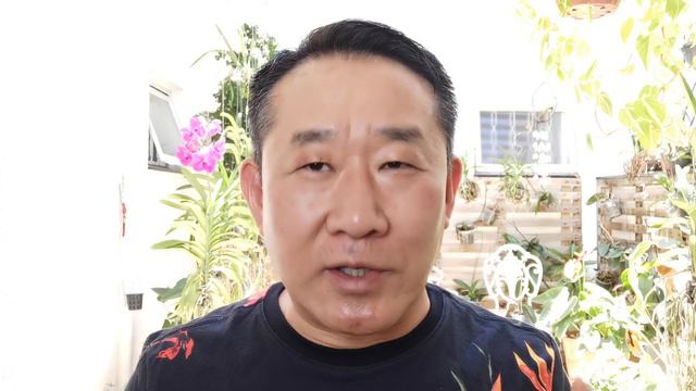 Meus agradecimentos a todos vocês, meus amores seguidores! смотреть онлайн