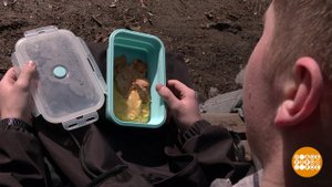 Ланч-бокс, который не подведет. Доброе утро. Фрагмент выпуска от 05.04.2024