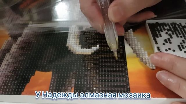 Выпуск 683/Алмазная мозаика/Слоник/Процесс/