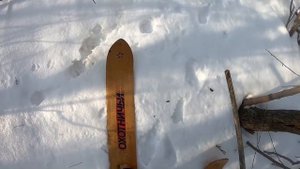 ДВА БРАТА - ДВА ЗАЙЦА!! Охота на зайцев с гончими собаками.