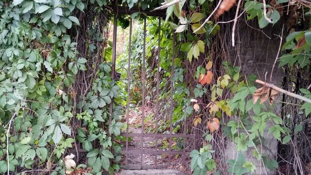 Xiaomi Redmi Pro Мой ОПЫТ ИСПОЛЬЗОВАНИЯ спустя 1 5 месяца смотреть онлайн