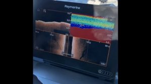 Работа Раймарин Аксиом 9 с 3 D датчиком.