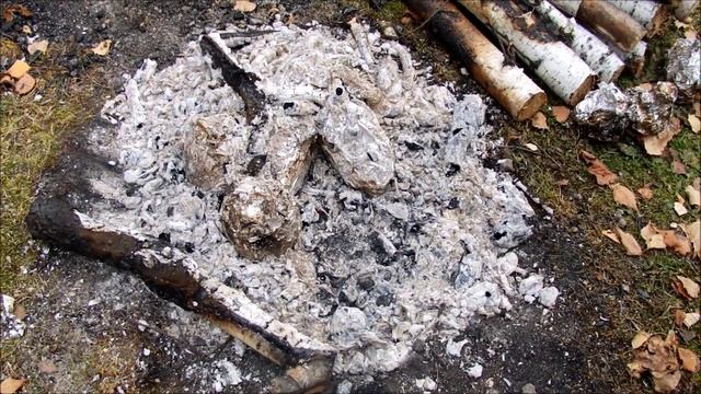 Способы приготовления яиц на костре без посуды.Походная яичница в грибах,картошке и болгарском перц смотреть онлайн