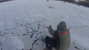 ЗИМНЯЯ РЫБАЛКА.ЛОВЛЯ НА БЕЗМОТЫЛКИ.КАПРИЗНЫЙ ОКУНЬ ПО ПЕРВОМУ ЛЬДУ НА ЧЁРТИКА