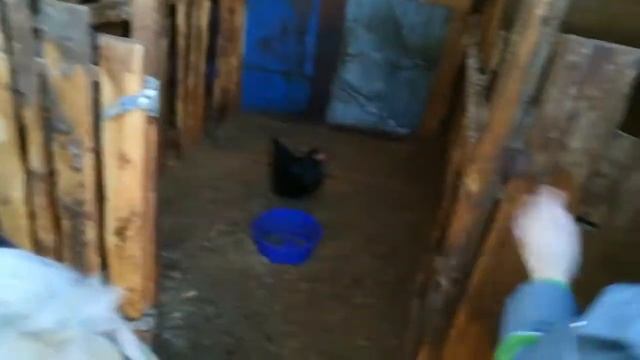 ОБЗОР НАШЕЙ ДАЧИ?/УБОРКА ПОСЛЕ ЗИМЫ?