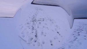 Ловля плотвы на комбайны. Река Свирь.