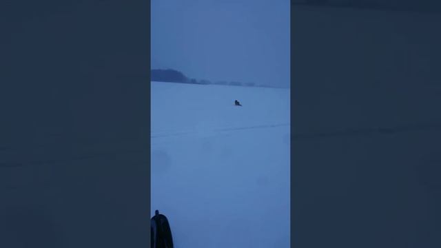 Гонка за Лисой на снегоходе смотреть онлайн