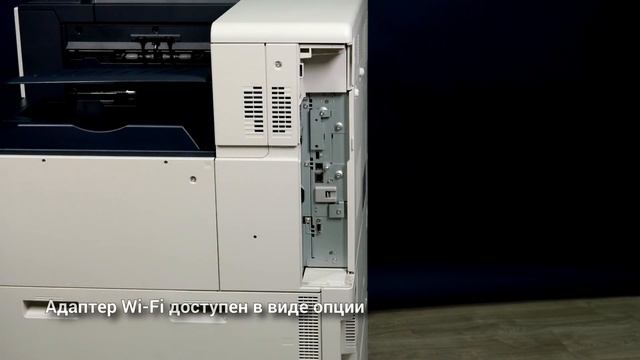 Отличная работа с цветом! Обзор принтера Xerox VersaLink C8000 смотреть онлайн