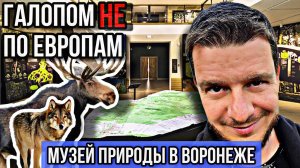 Галопом НЕ по Европам - МУЗЕЙ ПРИРОДЫ ВОРОНЕЖСКОГО ЗАПОВЕДНИКА