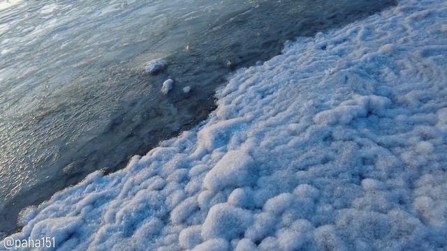 Шуга на море #магадан #нагаево #pocket2 #4k смотреть онлайн