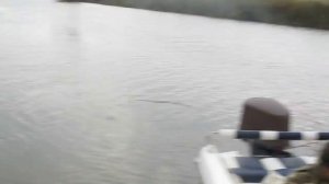 Красноперка на Волге Астраханская обл  Володарский район с Нововасильевка