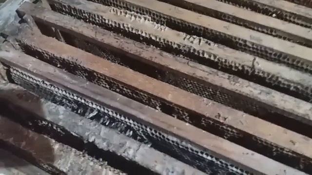 Ловушки для пчел быстро из магазинных надставок смотреть онлайн