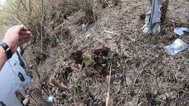 Спиннинг и животная насадка. Оснастка Сплит Шот и не только для весеннего поиска карася.