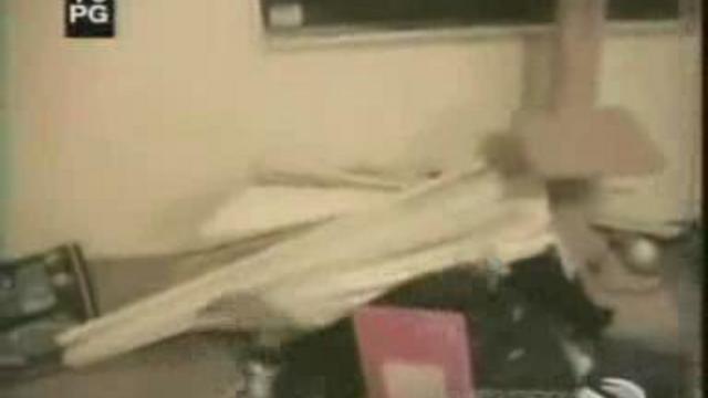 приколы с животными смотреть онлайн